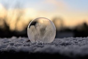 Can You Freeze Jelly Beans? The Chilly Candy Experiment